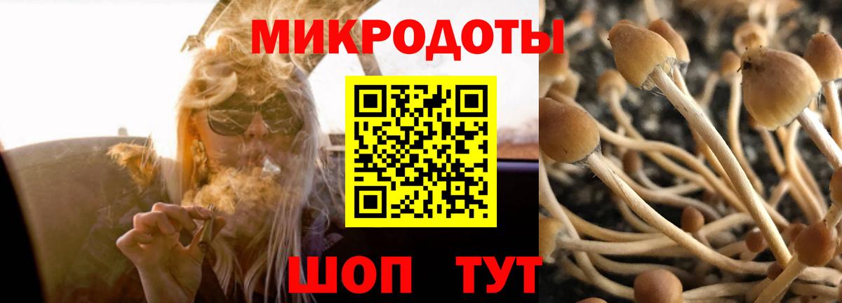 Галлюциногенные грибы мицелий  Вход с VPN  Псилоцибиновые грибы Psilocybe  Асино 